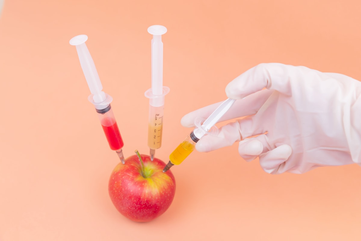 Pregătirea unei rețete sănătoase pentru blog